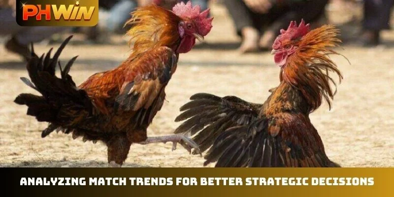 Analyzing match trends for better strategic decisions
