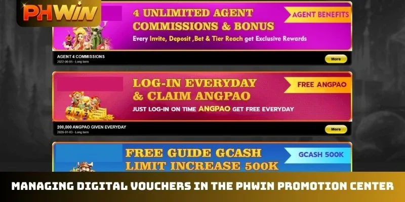 Managing digital vouchers in the PHWIN promotion center