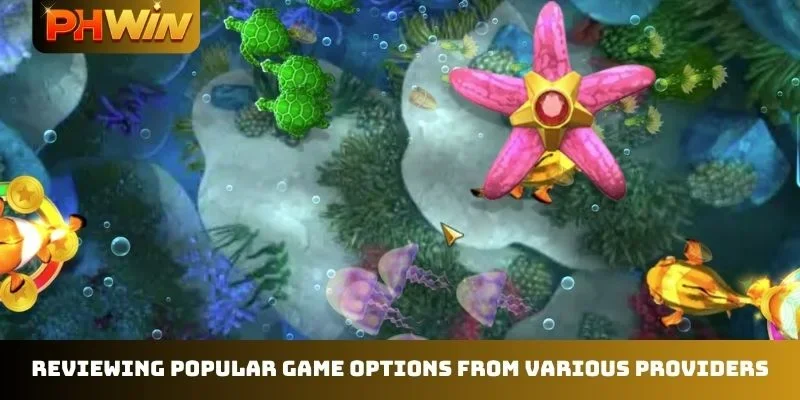 Reviewing popular game options from various providers